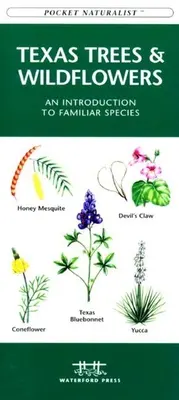 Aves de Virginia: A Folding Pocket Guide to Familiar Species - Virginia Birds: A Folding Pocket Guide to Familiar Species