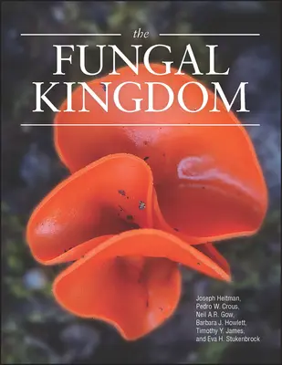 El reino de los hongos - The Fungal Kingdom