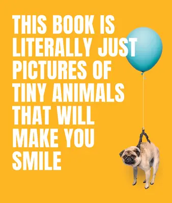 Este libro es literalmente sólo fotos de animales diminutos que te harán sonreír - This Book Is Literally Just Pictures of Tiny Animals That Will Make You Smile