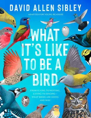 Cómo es ser un pájaro (adaptado para jóvenes lectores): De volar a anidar, de comer a cantar: qué hacen los pájaros y por qué - What It's Like to Be a Bird (Adapted for Young Readers): From Flying to Nesting, Eating to Singing--What Birds Are Doing and Why