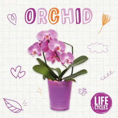 Orquídea - Orchid