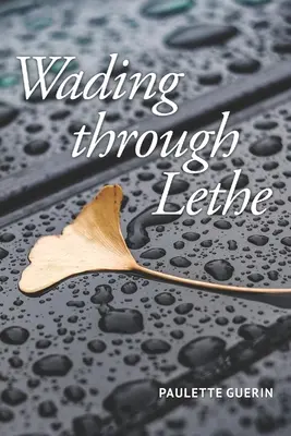 Vadear el Leteo - Wading through Lethe