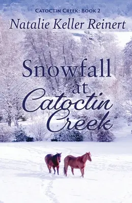 Nevadas en Catoctin Creek - Snowfall at Catoctin Creek