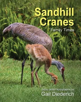 Grullas cenicientas, tiempos de familia - Sandhill Cranes, Family Times