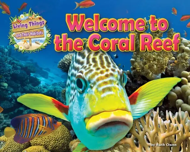 Bienvenido al arrecife de coral - Welcome to the Coral Reef