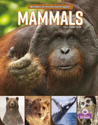 Mamíferos - Mammals