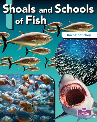 Cardúmenes y bancos de peces - Shoals and Schools of Fish