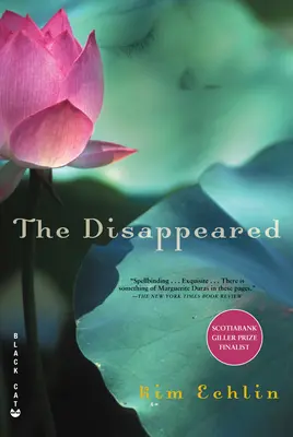 El Desaparecido - The Disappeared