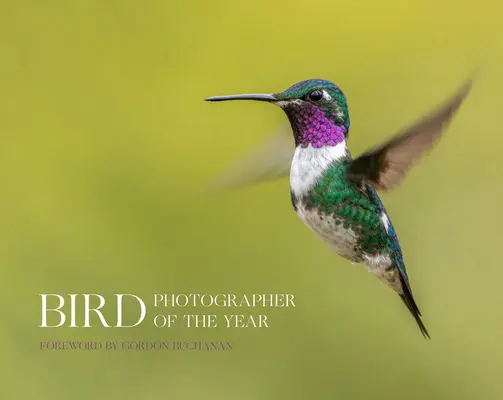 Fotógrafo de aves del año - Bird Photographer of the Year