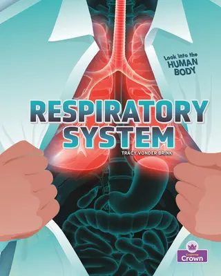 Sistema respiratorio - Respiratory System