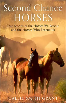 Caballos de segunda oportunidad: Historias reales de los caballos que rescatamos y de los caballos que nos rescatan - Second-Chance Horses: True Stories of the Horses We Rescue and the Horses Who Rescue Us