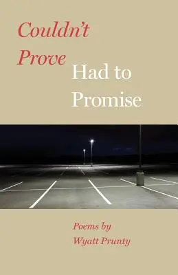 No pude probarlo, tuve que prometerlo - Couldn't Prove, Had to Promise