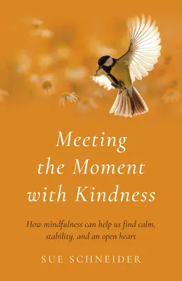 Afrontar el momento con bondad: Cómo la atención plena puede ayudarnos a encontrar la calma, la estabilidad y un corazón abierto - Meeting the Moment with Kindness: How Mindfulness Can Help Us Find Calm, Stability, and an Open Heart