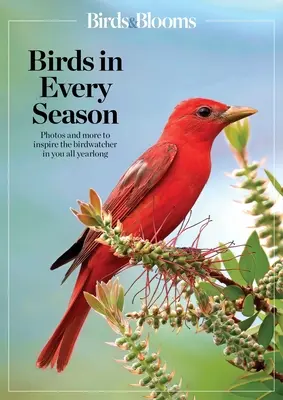 Birds & Blooms Aves en cada estación: Acaricie a los voladores emplumados de su jardín durante todo el año - Birds & Blooms Birds in Every Season: Cherish the Feathered Flyers in Your Yard All Year Long