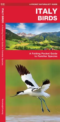 Aves de Italia - Guía de bolsillo de especies conocidas - Italy Birds - A Folding Pocket Guide to Familiar Species