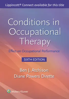 Condiciones en Terapia Ocupacional: Efectos sobre el rendimiento profesional - Conditions in Occupational Therapy: Effect on Occupational Performance