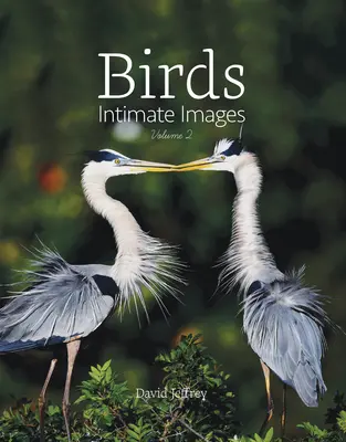 Aves: Imágenes íntimas, volumen 2 - Birds: Intimate Images Volume 2