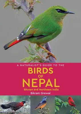 Guía naturalista de las aves de Nepal - A Naturalist's Guide to the Birds of Nepal