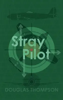 Piloto descarriado - Stray Pilot