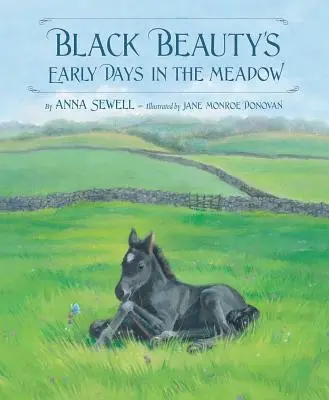 Los primeros días de Black Beauty en la pradera - Black Beauty's Early Days in the Meadow