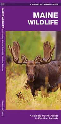 Fauna de Maine: A Folding Pocket Guide to Familiar Species - Maine Wildlife: A Folding Pocket Guide to Familiar Species