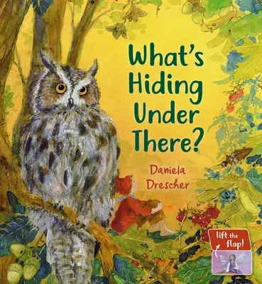 ¿Qué se esconde ahí debajo? Un libro mágico con solapas desplegables - What's Hiding Under There?: A Magical Lift-The-Flap Book