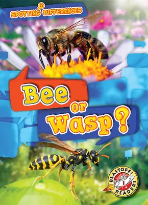 ¿Abeja o avispa? - Bee or Wasp?