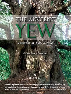 El tejo antiguo: historia del Taxus baccata - Ancient Yew - A History of Taxus Baccata