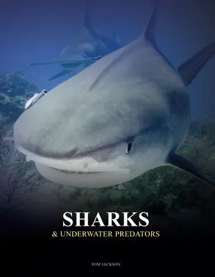 Tiburones y depredadores submarinos - Sharks & Underwater Predators