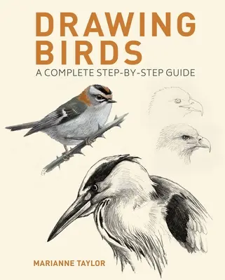 Dibujar pájaros: Guía completa paso a paso - Drawing Birds: A Complete Step-By-Step Guide