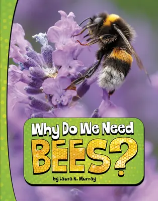 ¿Por qué necesitamos abejas? - Why Do We Need Bees?