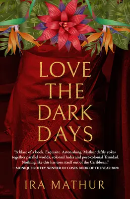 Amar los días oscuros - Love the Dark Days