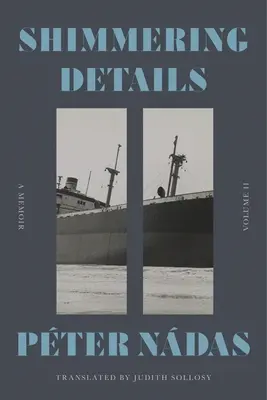 Detalles brillantes, Volumen II: Memorias - Shimmering Details, Volume II: A Memoir