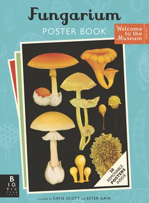 Libro de carteles Fungarium - Fungarium Poster Book