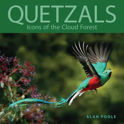 Quetzales: Iconos del bosque nuboso - Quetzals: Icons of the Cloud Forest