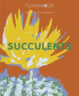 Suculentas - Succulents