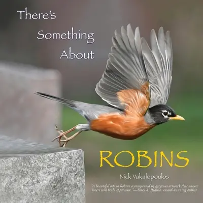 Algo pasa con los petirrojos - There's Something About Robins