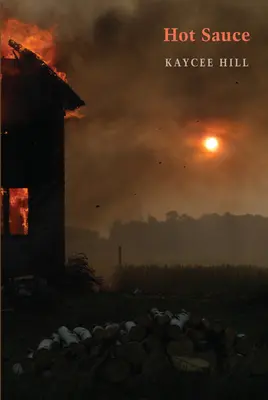 Salsa picante - Hot Sauce