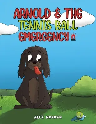 Arnold y la emergencia de la pelota de tenis - Arnold & The Tennis Ball Emergency