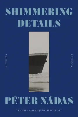 Detalles brillantes, Volumen I: Memorias - Shimmering Details, Volume I: A Memoir