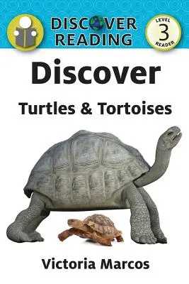 Descubrir tortugas - Discover Turtles & Tortoises
