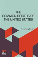 Las arañas comunes de Estados Unidos - The Common Spiders Of The United States