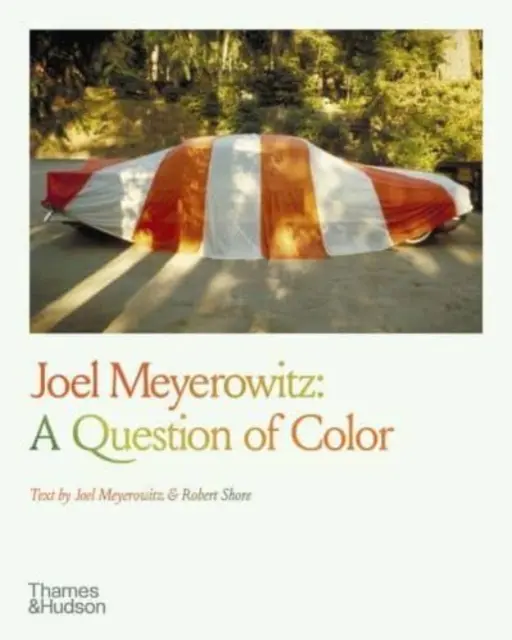 Joel Meyerowitz: Una cuestión de color - Joel Meyerowitz: A Question of Color