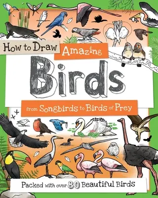 Cómo Dibujar Aves Asombrosas: De pájaros cantores a aves rapaces - How to Draw Amazing Birds: From Songbirds to Birds of Prey