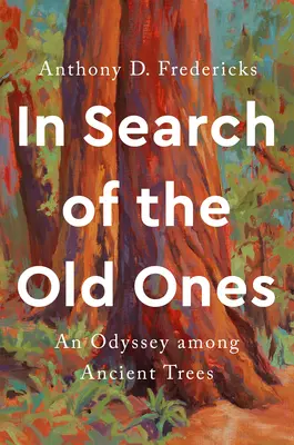 En busca de los antiguos: Una odisea entre árboles centenarios - In Search of the Old Ones: An Odyssey Among Ancient Trees