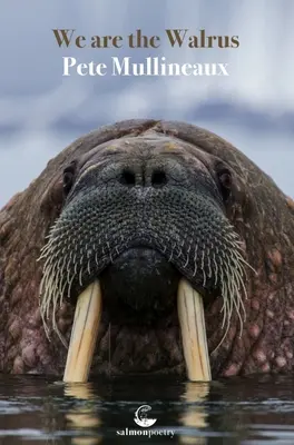 Somos la morsa - We Are the Walrus