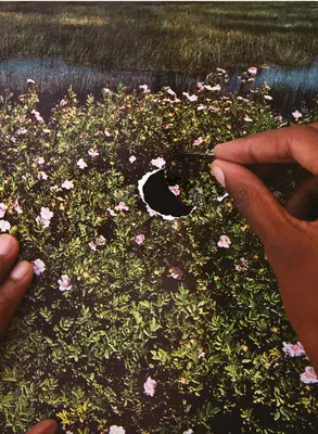 Re/Hermanas: Una lente sobre género y ecología - Re/Sisters: A Lens on Gender and Ecology