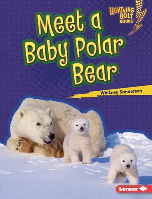 Conoce a un bebé oso polar - Meet a Baby Polar Bear