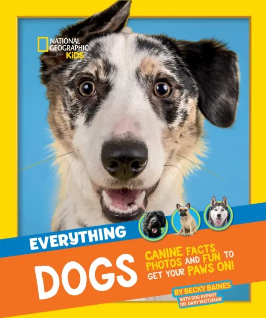 Todo: Perros - Datos caninos, fotos y diversión para poner las zarpas. - Everything: Dogs - Canine Facts, Photos and Fun to Get Your Paws on!