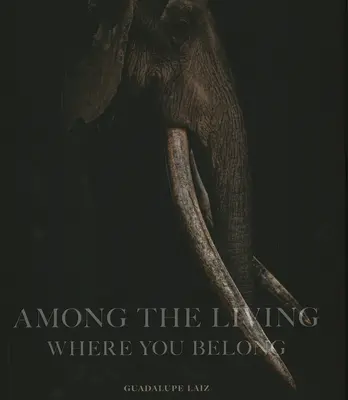Entre los vivos: Where You Belong - Among the Living: Where You Belong